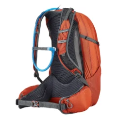 Gregory Citro 24L H2O Backpack